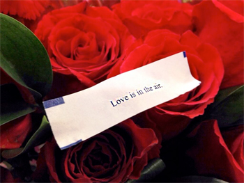 Fortune cookie never fails! Valentines Day roses and love is in the air fortune